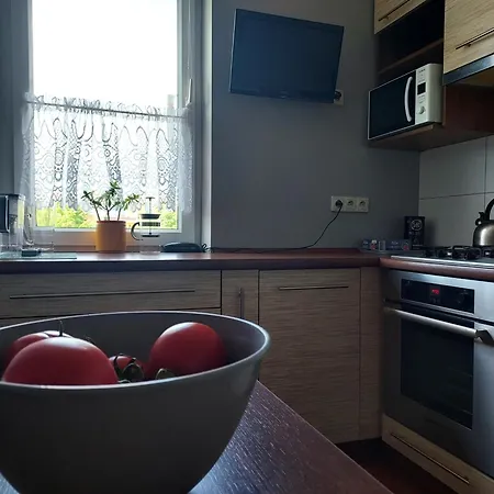 Family Comfort Zone Apartmán Gdaňsk
